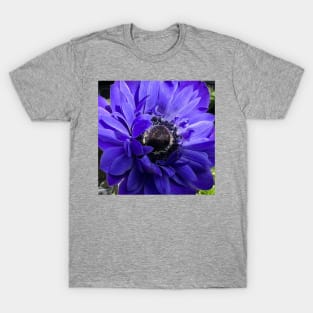 Unusual Blue Daisy T-Shirt